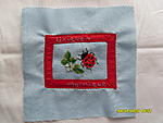 Ladybird cross stitch square bordered in red and backed by pale blue polycotton. Won by UniquenMornique YDC67
